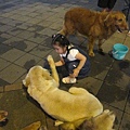 ap_F23_20100704035549962.jpg