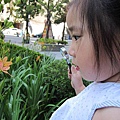 ap_F23_20100821055119632.jpg
