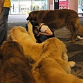 ap_F23_20100704035551304.jpg