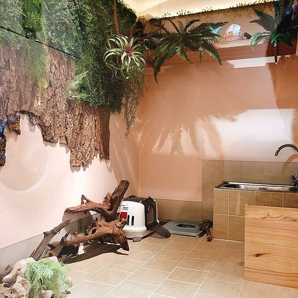 LINE_ALBUM_75度獴_220428_15.jpg LINE_ALBUM_75度獴_220428_15.jpg