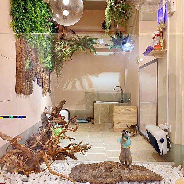 831614.jpg 831614.jpg