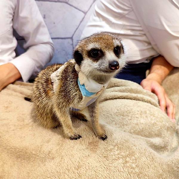 831615.jpg 831615.jpg