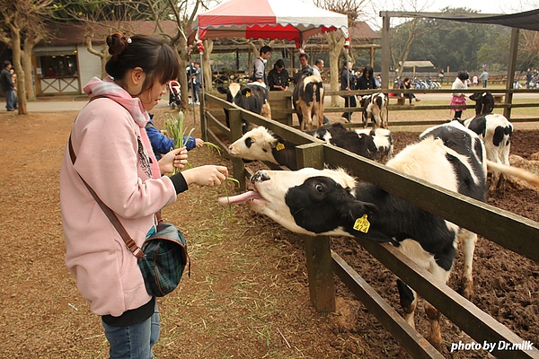 2011-0203-Family埔心牧場半日遊29.jpg