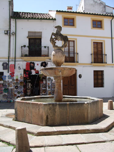 13.Plaza del Potro.jpg