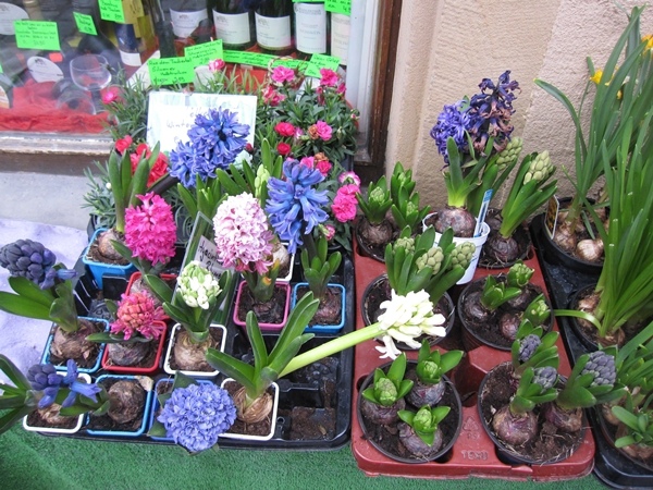 32.花店的花.jpg 32.花店的花.jpg