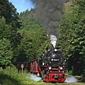 Harz_57.jpg