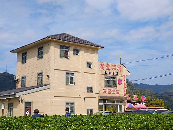 滿意牛奶草莓園_1.JPG