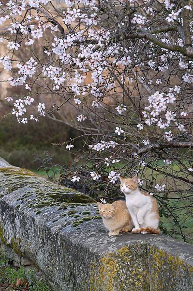 P1600243.JPG P1600243.JPG