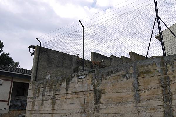 P1600253.JPG P1600253.JPG