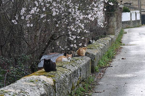 P1600279.JPG P1600279.JPG