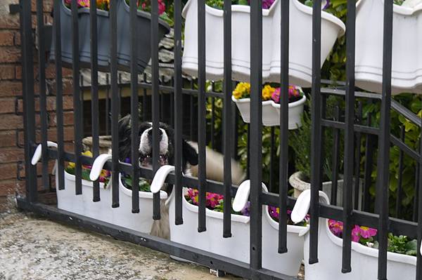 P1600276.JPG P1600276.JPG