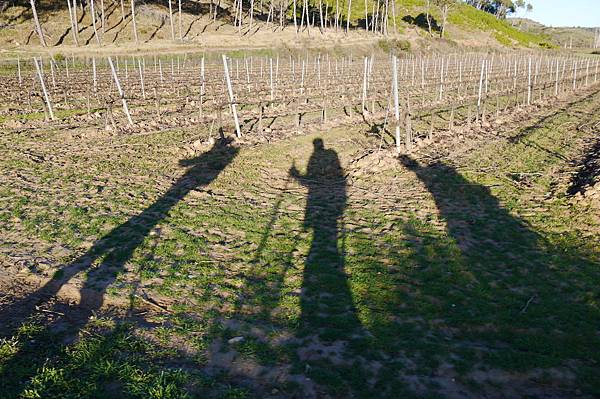 P1600308.JPG P1600308.JPG