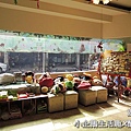 DSCN0501.JPG