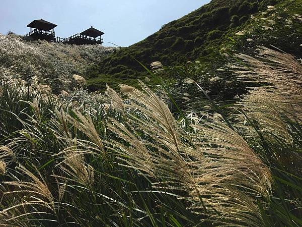 [遊記] 草嶺古道+桃源谷(福隆-大溪)