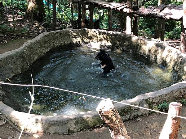 龍坡邦慢慢聊-關西瀑布(Kuang Si Waterfall