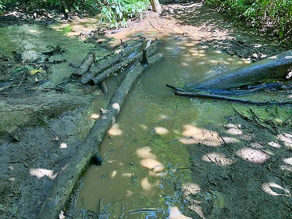 龍坡邦慢慢聊-關西瀑布(Kuang Si Waterfall