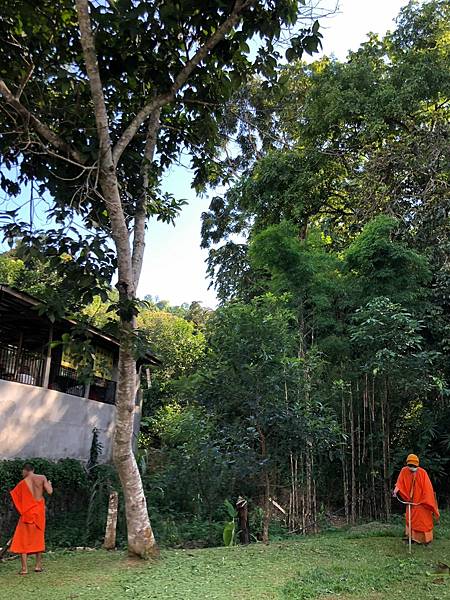 龍坡邦慢慢聊-關西瀑布(Kuang Si Waterfall