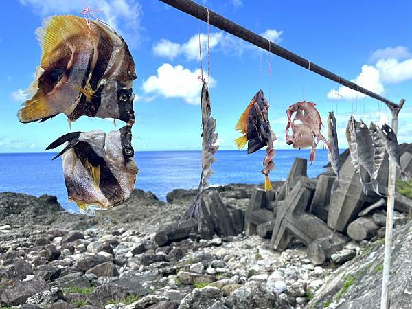 蘭嶼。人之島-散漫生活