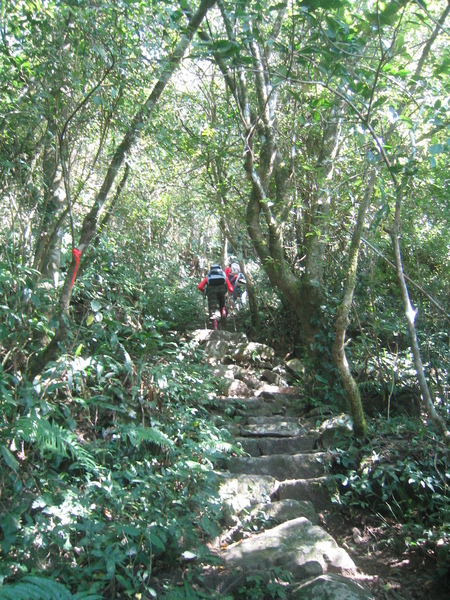 又是一大段陡上山路，在這遇到一群自稱文大的登山客