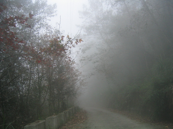 下山時產業道路上開始起霧了