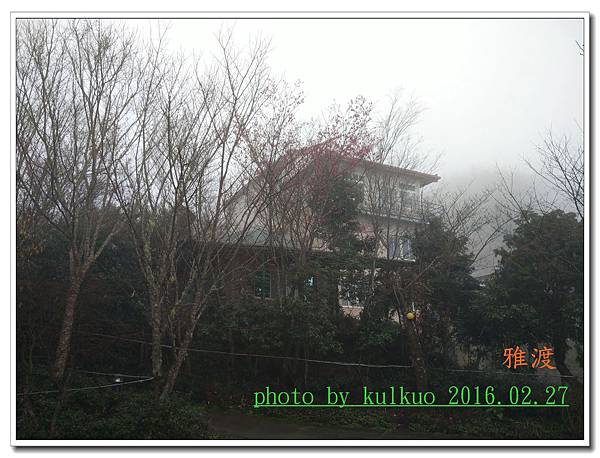 雅渡-008.jpg 雅渡-008.jpg