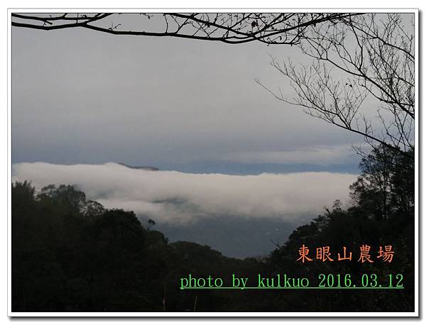 東眼山1-005.jpg