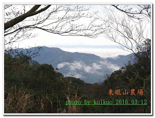 東眼山1-006.jpg