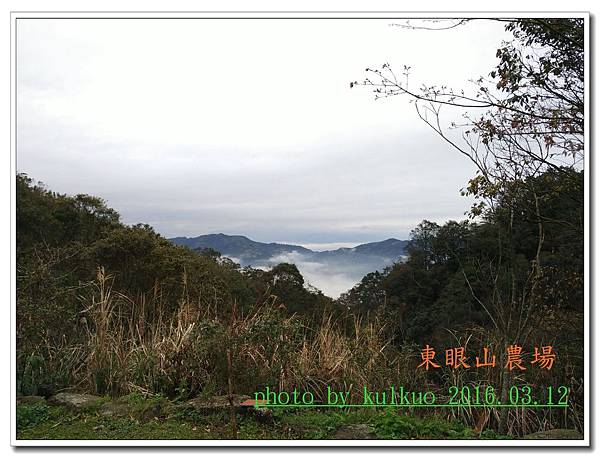 東眼山1-007.jpg 東眼山1-007.jpg