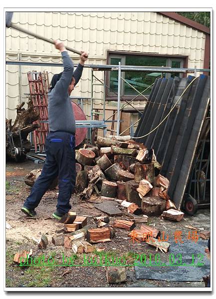 東眼山1-019.jpg 東眼山1-019.jpg