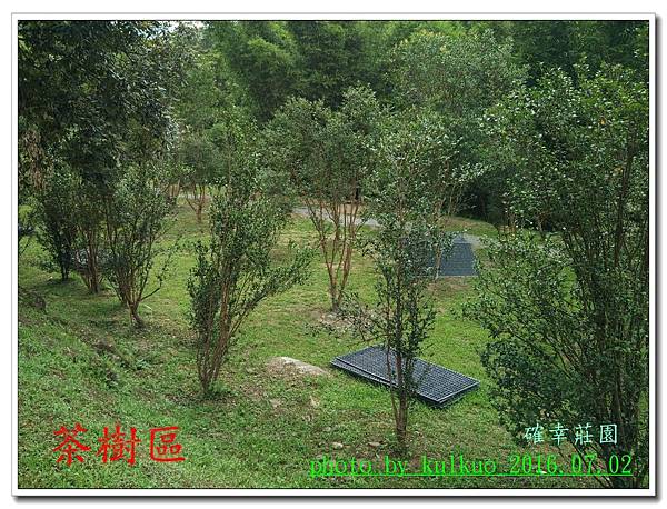 確幸莊園-027.jpg 確幸莊園-027.jpg