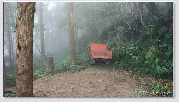 杉林奇蹟-007.jpg 杉林奇蹟-007.jpg