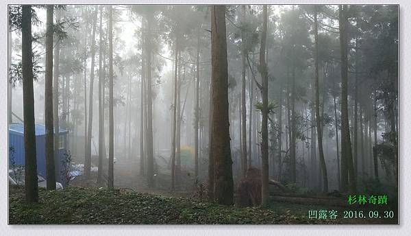 杉林奇蹟-010.jpg 杉林奇蹟-010.jpg