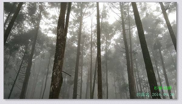 杉林奇蹟-011.jpg 杉林奇蹟-011.jpg