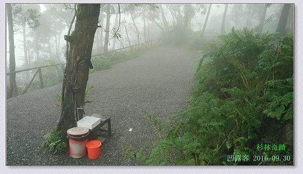 杉林奇蹟-016.jpg 杉林奇蹟-016.jpg