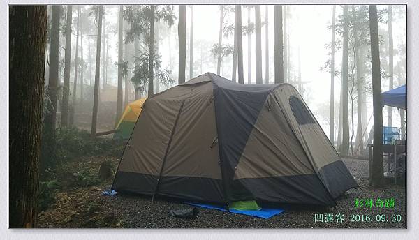 杉林奇蹟-020.jpg 杉林奇蹟-020.jpg