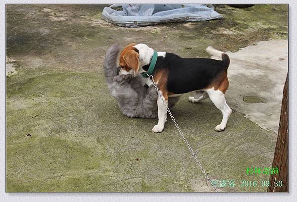 杉林奇蹟-031.jpg 杉林奇蹟-031.jpg