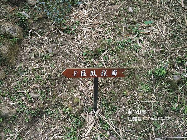 新竹野漾-025.jpg 新竹野漾-025.jpg