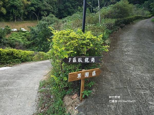 新竹野漾-033.jpg 新竹野漾-033.jpg