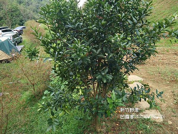 新竹野漾-043.jpg 新竹野漾-043.jpg