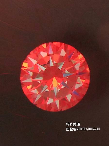 新竹野漾-047.jpg 新竹野漾-047.jpg