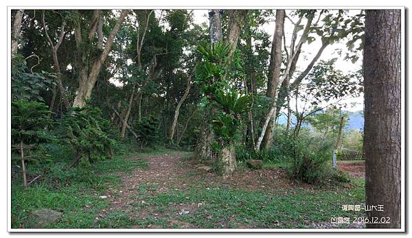 山大王-012.jpg 山大王-012.jpg