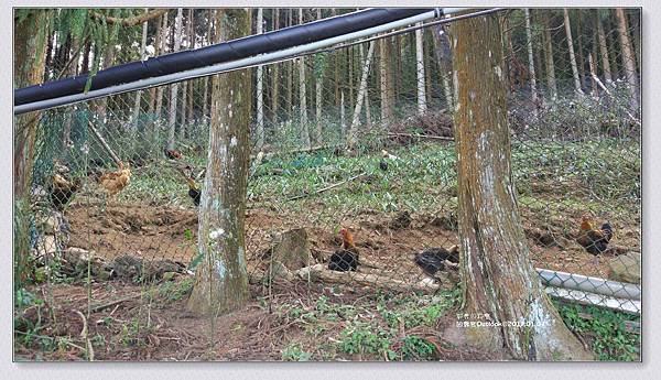 巴卡的天空-062.jpg 巴卡的天空-062.jpg