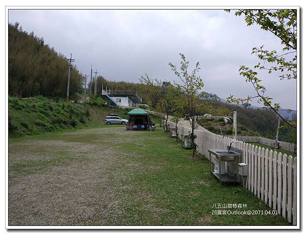 八五山甜柿森林-002.jpg 八五山甜柿森林-002.jpg