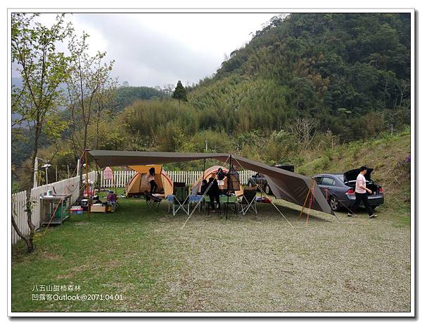 八五山甜柿森林-003.jpg 八五山甜柿森林-003.jpg