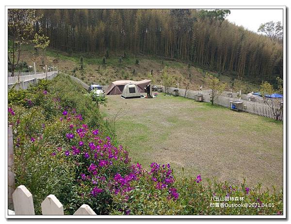 八五山甜柿森林-004.jpg 八五山甜柿森林-004.jpg