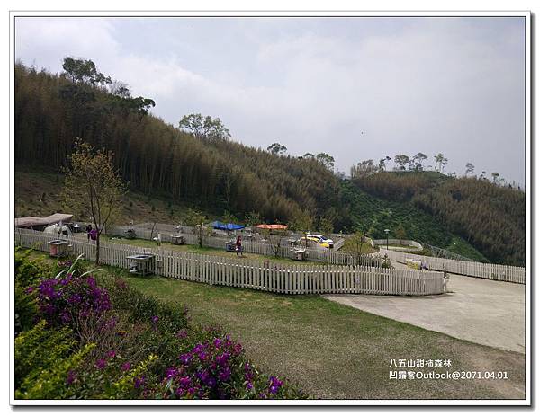 八五山甜柿森林-006.jpg 八五山甜柿森林-006.jpg