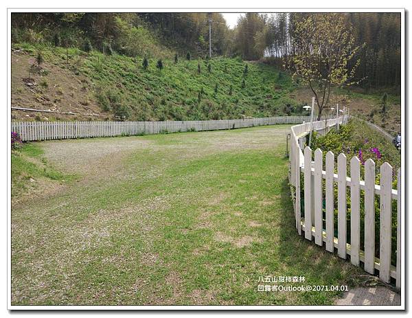 八五山甜柿森林-005.jpg 八五山甜柿森林-005.jpg