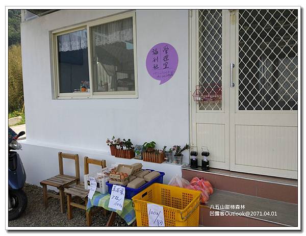 八五山甜柿森林-010.jpg 八五山甜柿森林-010.jpg