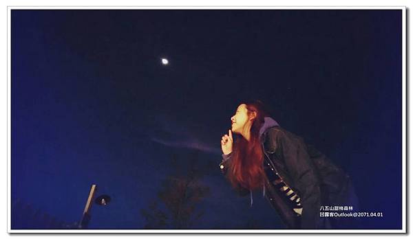 八五山甜柿森林-019.jpg 八五山甜柿森林-019.jpg