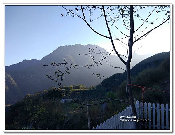 八五山甜柿森林-024.jpg 八五山甜柿森林-024.jpg